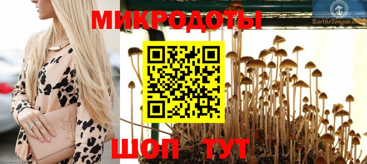 цена   Вход с VPN  Белово  Галлюциногенные грибы прущие грибы 